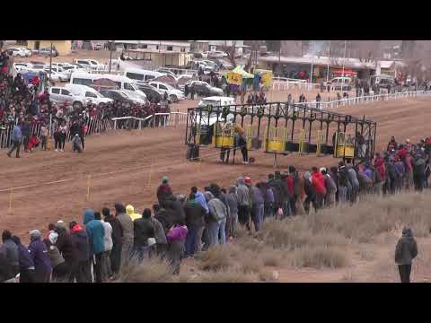 ER CHISPAZO - Club Hípico Viento Sur Cutral Co- 15-08-21