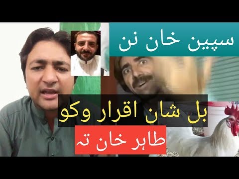Tahir khan  speen khan || zeshan khan jan habib