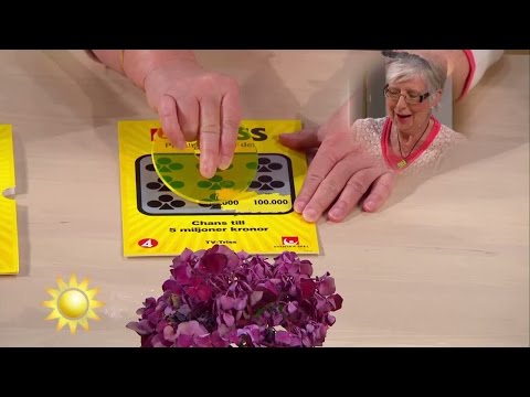 Nancy från Lund skrapar triss - Nyhetsmorgon (TV4)