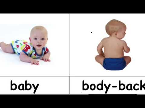 كلمات تبدا بحرف ال B