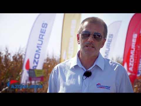 Schemă de fertilizare la porumb cu îngrășăminte Azomureș