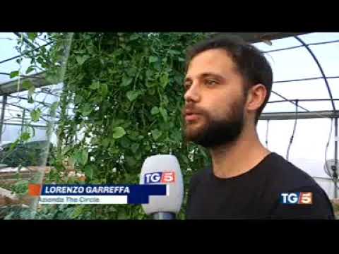 TG 5 - Agricoltura tra nuovi giovani e pensionati al minimo