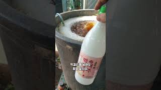 비료값 절약하려면 액비를 이렇게 발효해 영양제 만들어요 퇴비차 막걸리액비 #shorts #액비만들기 #식물영…