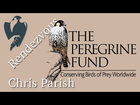 Falconry Heritage Session -  Chris Parish - The Archives of Falconry, 2022 Spring Rendezvous