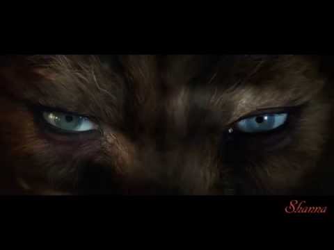 Beauty and the Beast ஐ  Mirror