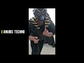 ANUBIS  - PLAYING LIVE TECHNO SET