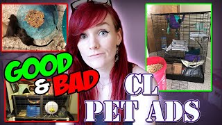 Social Animals Edition! | Craigslist Pet Ads | Munchie's Place