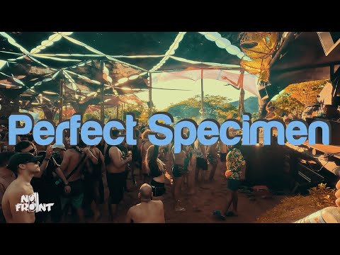 Perfect Specimen @ Mundo de Oz - As Guardiãs [4k]