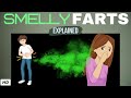 Why Do My Fart Smell So Bad:  Smelly Farts Explained