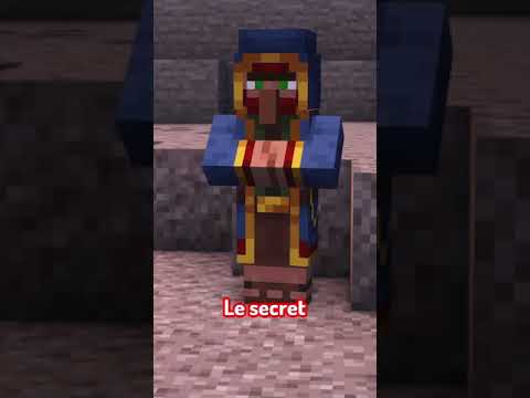 This Minecraft villager is hiding a lot...