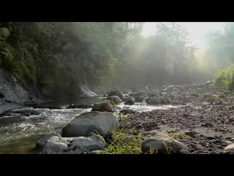 Color Me In - Tommy Ljungberg