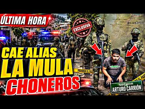 🚨 ÚLTIMA HORA: Capturan a Alias "La Mula"  Miembro de Los Choneros en Ventanas