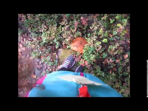 From outside to inside - Alena, Kandalaksha