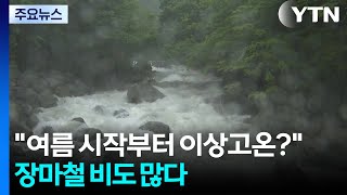"여름 시작부터 이상고온?"...장마철 비도 많다 / YTN