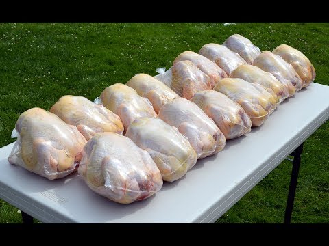 download lagu mp3 mp4 Large Freezer Bags For Turkeys, download lagu Large Freezer Bags For Turkeys gratis, unduh video klip Large Freezer Bags For Turkeys