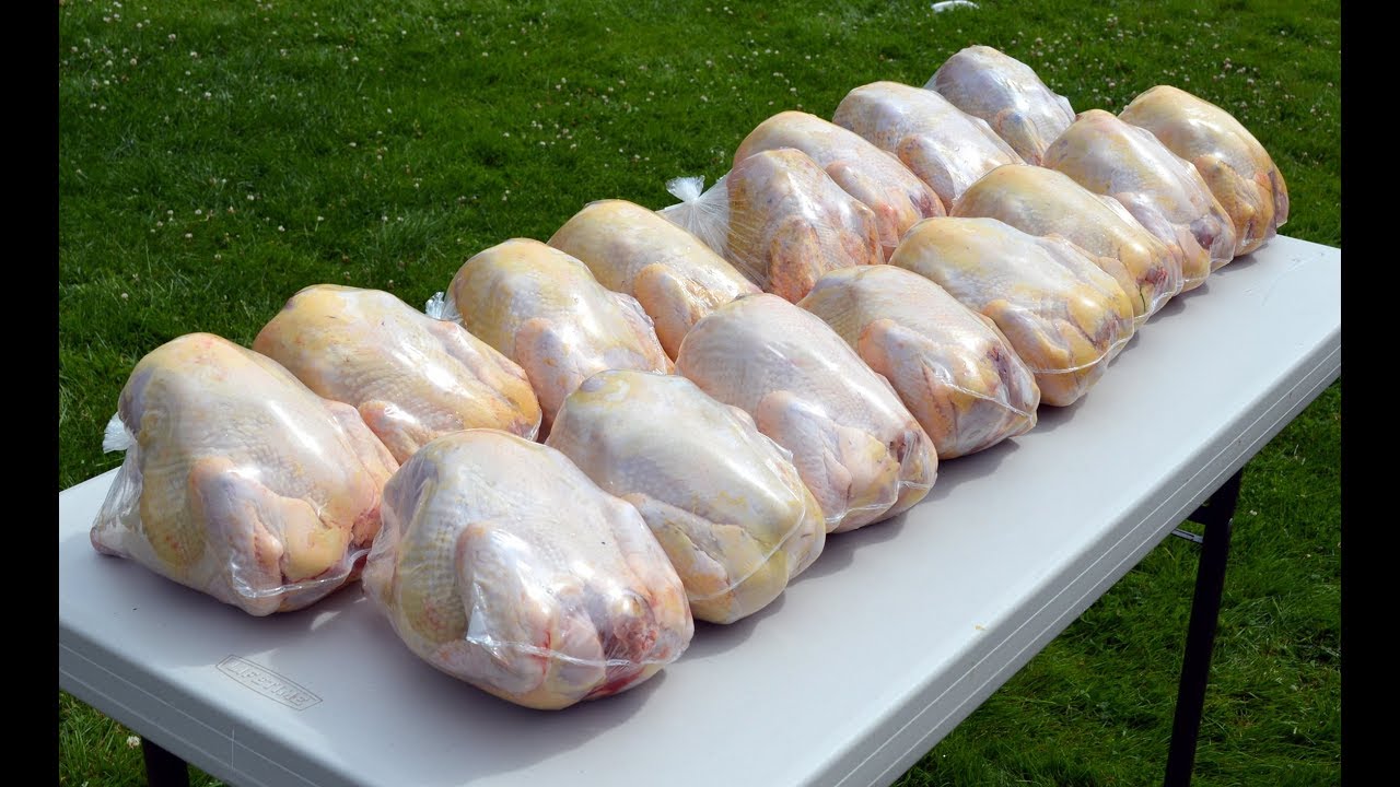Poultry Shrink Wrap Bags - How To Package Chicken For The Freezer