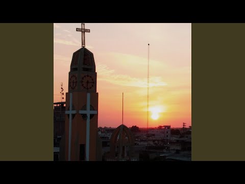 Guabo Perla De El Oro