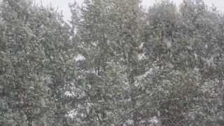 preview picture of video 'Snow Storm In Northern Maine 12/15/2013'