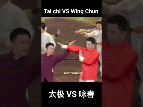 TAI CHI VS WING CHUN