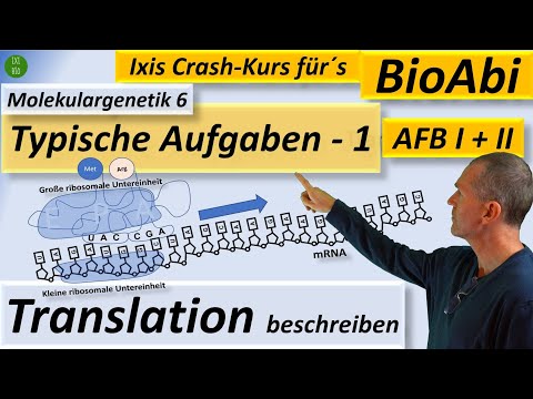 Describe Translation 1 with illustrations - Abitur level - AFB I - Typical tasks in biology