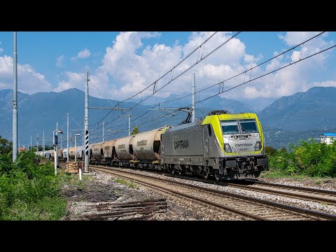 Treni Diurni a Baveno - Estate 2021