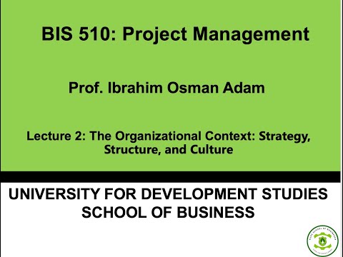 BIS 510 Lecture 2 The Organizational Context  Strategy, Structure, and Culture