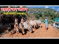 Village Life In The Mountains Village Life In India Uttarakhand Village Life Village Tour Vlog