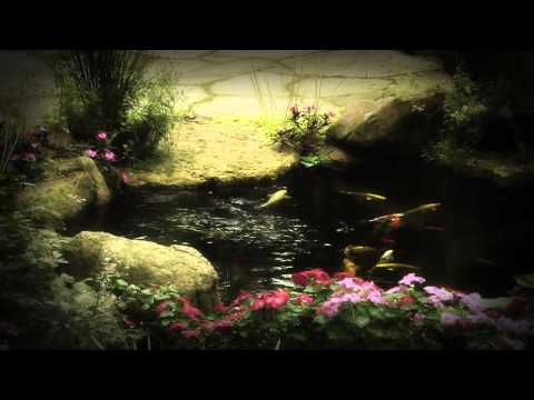 Mr.Waterfalls Koi Pond Installations Serving Central Texas