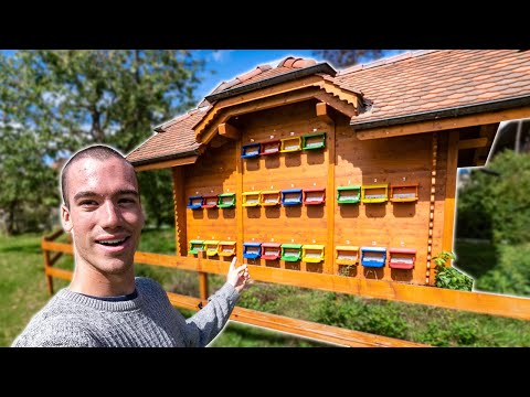 This House is FULL of Honeybees
