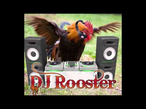 Dj Rooster