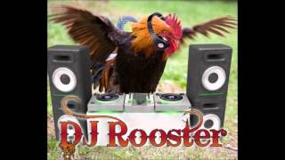 Dj Rooster