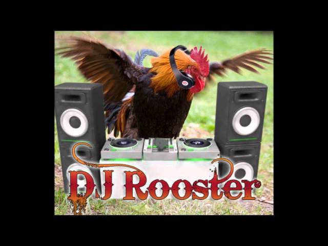Dj Rooster - House Is A Feeling