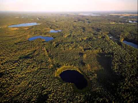 "Kur giria žaliuoja"  (J.Gudavičius, K.Sakalauskas-Vanagėlis)