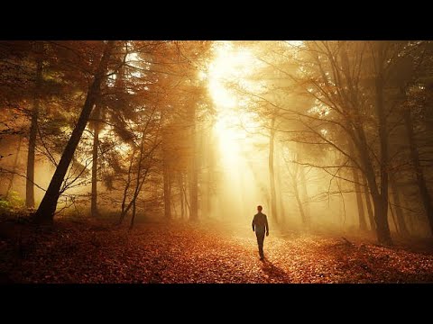 David Stănuș | Cu pasul prea lent pe carare