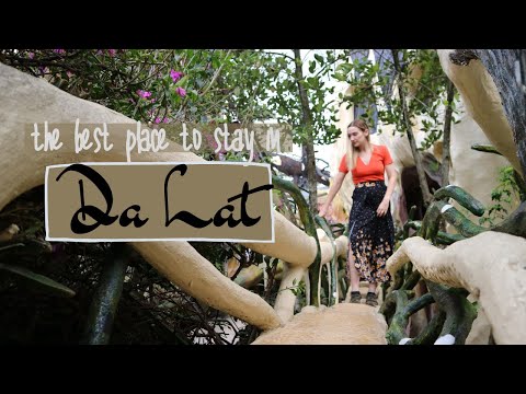 Best Place to Stay in Da Lat || The Crazy House, Vietnam