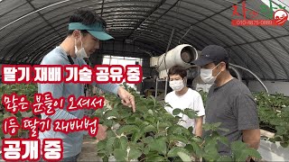 1등 농가가 1년차 귀농농가 교육하면 1등 재배할 수 있을까?