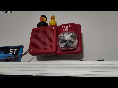 New Simplex System Test 1