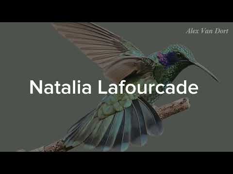 Pajarito colibrí — Natalia Lafourcade (letra)
