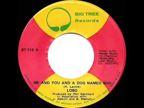 1971 HITS ARCHIVE: Me And You And A Dog Named Boo - Lobo (mono 45--#1 A/C)