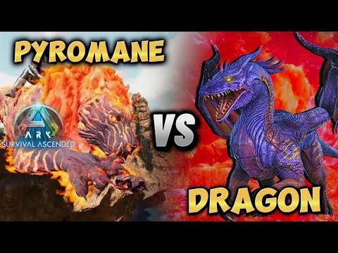 Pyromane Vs Dragon Boss Solo, Ark Survival Ascended Island Boss Fight New Dragon Boss SLAYER?