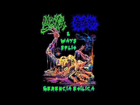 Bloodshed Party Gore - Masticación Facial Cadavérica