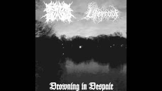 Desolate Isolation/Lifeproof - Drowning in Despair (Split Stream 2016)