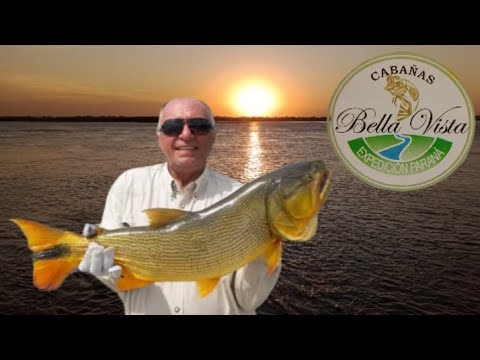 Pesca en Bella Vista ,Corrientes, con Servicio Exclusivo Expedición Paraná de Cabañas Bella Vista HD