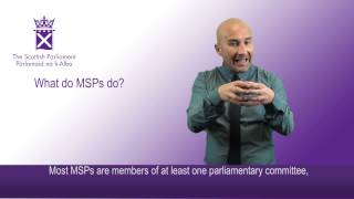 What do MSPs do?