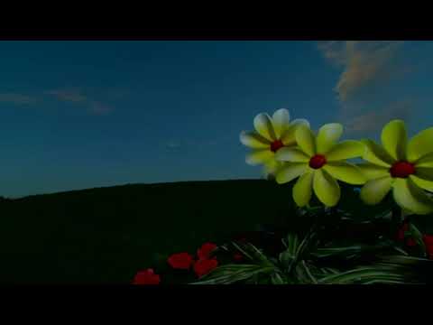 Zoboomafoo Talking Flowers Clip 1