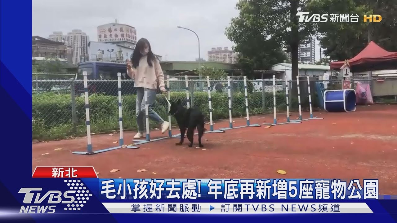 毛小孩好去處! 年底再新增5座寵物公園