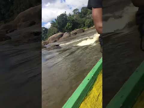 Onderweg naar de binnenland van Suriname Sipaliwini (dorp Nieuw Aurora)