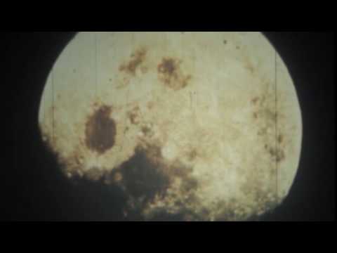 Black Flower - Lunar Eclipse (videoclip)