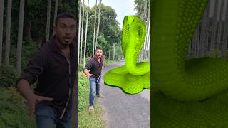 Download lagu Ular anaconda di kehidupan nyata P196#shorts #short #snake #nagin #python #anaconda #snakes #bigs... mp3