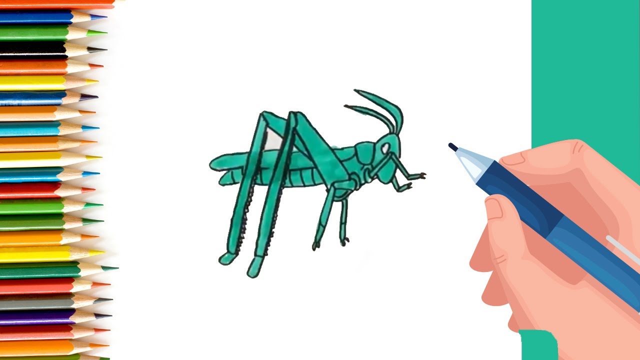 How to Draw easy Grasshopper for Kids #shorts